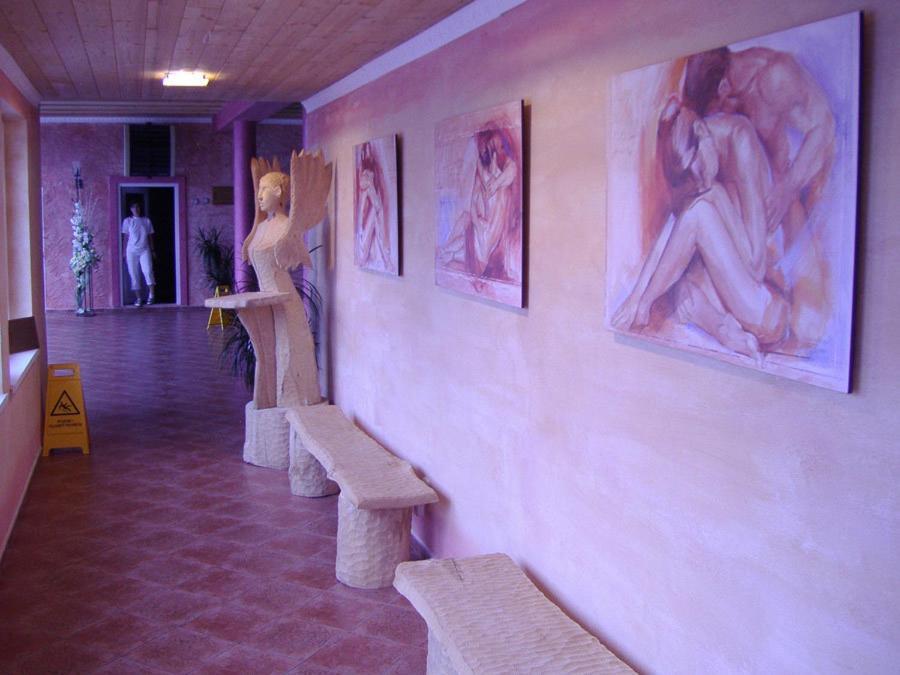 Wellness Hotel Bahenec Екстериор снимка